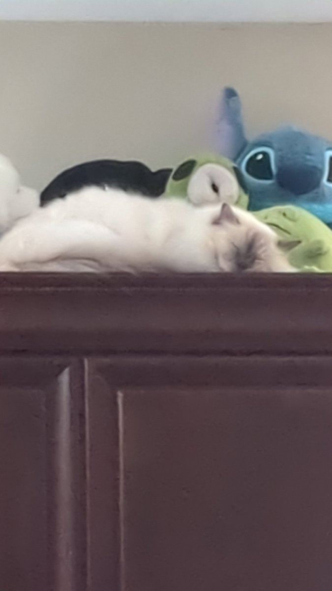 One of these things is not like the others.