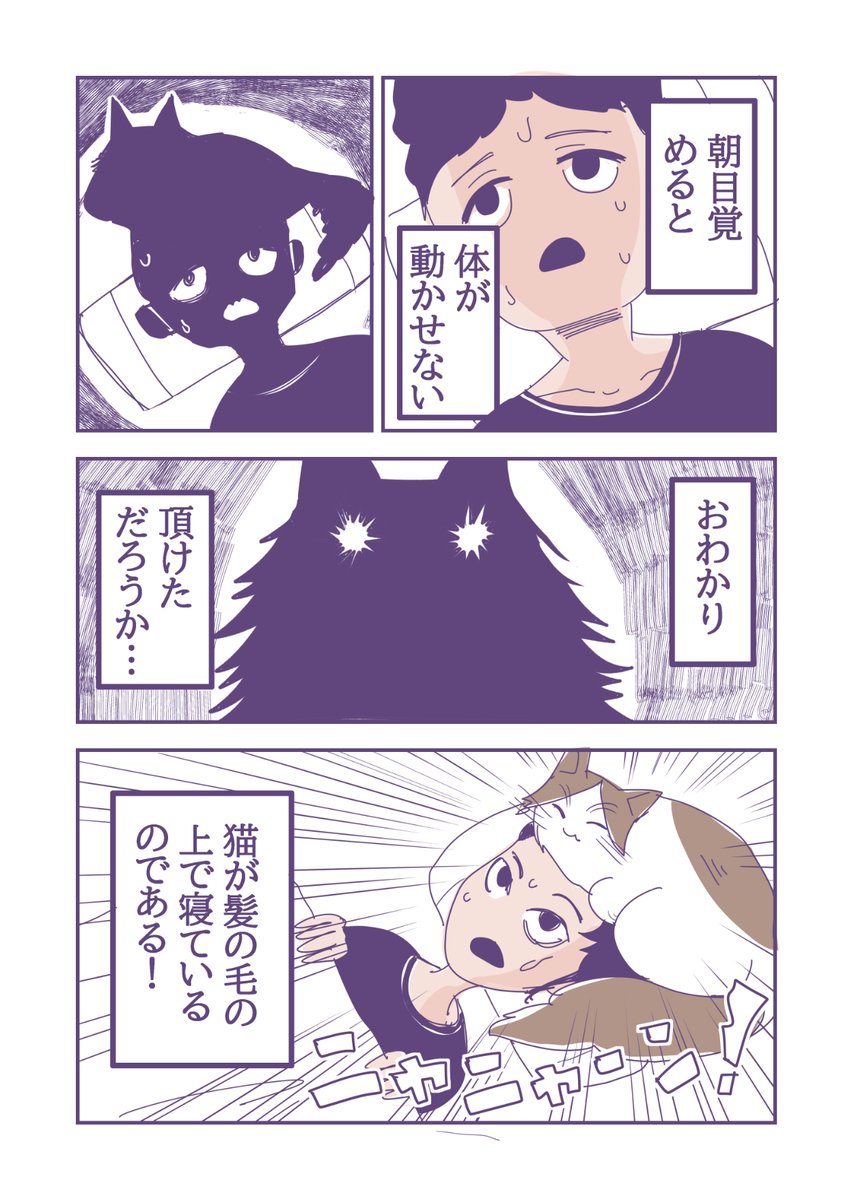 ﾆｬﾆｬｰﾝ！
#猫
#漫画 https://t.co/ORkR9kAq4a