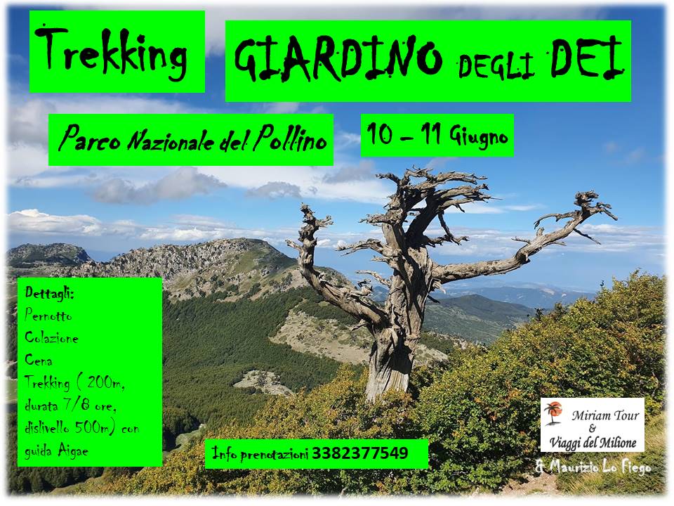 ViaggiMilione's tweet photo. https://t.co/MbsaJElBGa