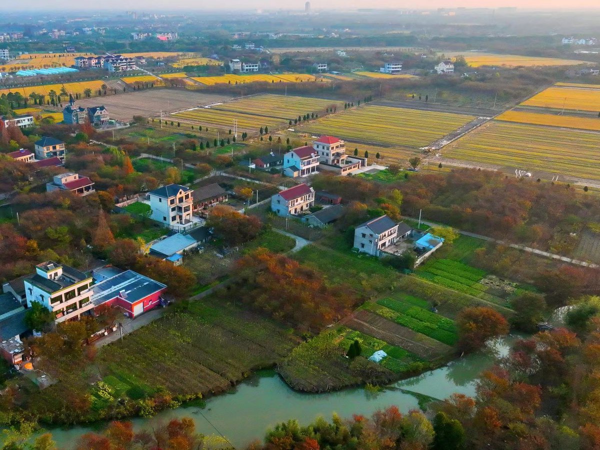 triezy_'s tweet photo. The photos below show the pleasantness and calmness of the Tudian town, #Tongxiang. Time seems to relax its pace in this beautiful small town so as not to disturb the quiet life of local people. #WowSpots #DakaChina #LivingInTongxiang #ruralvitalization @Tongxiang_China https://t.co/MTaLJeydFl