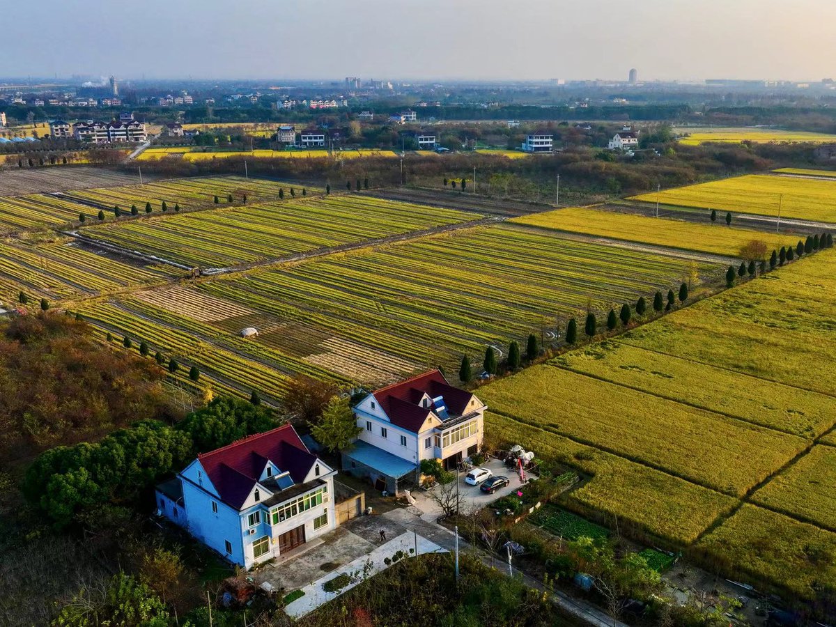 triezy_'s tweet photo. The photos below show the pleasantness and calmness of the Tudian town, #Tongxiang. Time seems to relax its pace in this beautiful small town so as not to disturb the quiet life of local people. #WowSpots #DakaChina #LivingInTongxiang #ruralvitalization @Tongxiang_China https://t.co/MTaLJeydFl