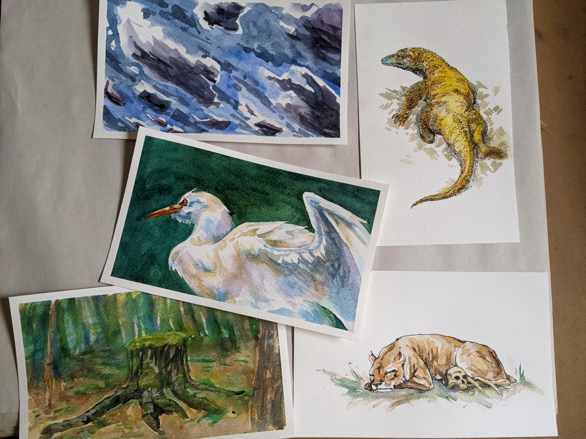 Zed_Nope's tweet photo. Been doing a bunch of nature studies lately, gotta figure out where on the internet I want to post stuff cause I don't think it's gonna be here. https://t.co/XZpTkZwoYi