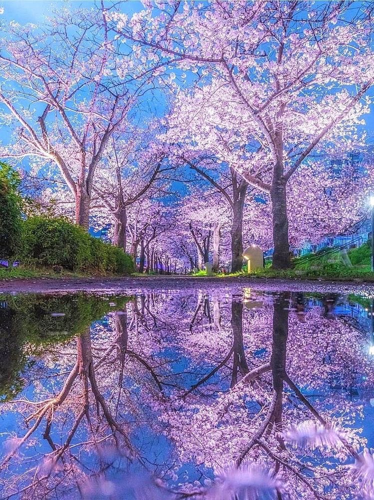 h e l e n a ☃️🌸🍁 tweet media