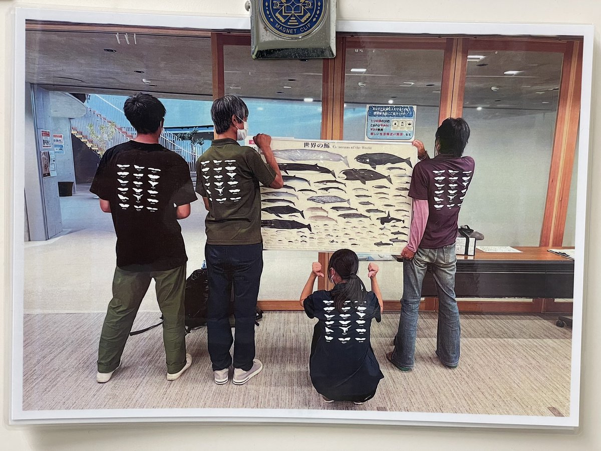 ctkn35isn2025's tweet photo. 皆さま、ご注文・拡散してくださり有難うございます！
ご注文は、明日【5月30日(火)まで】受け付けております。

長崎大では、1950年代から鯨類研究が行われてきました。
天野先���をはじめ、調査メンバーとお揃いのTシャツを手に、ぜひ長崎のクジラを身近に感じていただければ幸いです🐳 https://t.co/z4ebYCkskQ