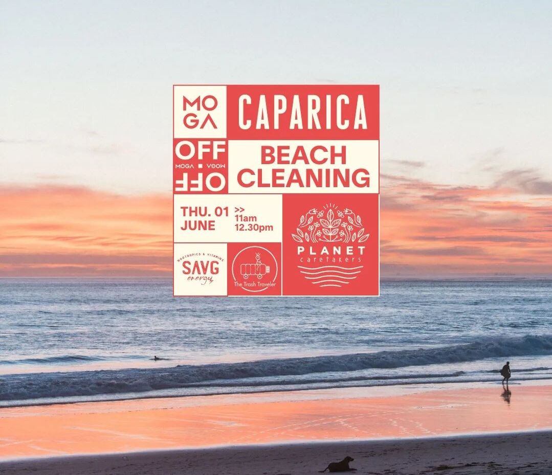 IneewsP's tweet image. MOGA Caparica has started the countdown to another edition in Costa da Caparica.
For 2023, MOGA Caparica has a vast program within the festival – MOGA IN -, but also a varied offer of contents in the program around the event – MOGA OFF. #Caparica #MOG

ineews.eu/a-partir-de-31…