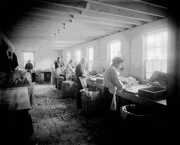 PMonty18's tweet photo. #fisharchitecture #Gloucester #Massachusetts #USA 19th Century. The hub of the codfish fishing and processing in north American mainland. #FishArchitecture (FISH-A), #ERC @FAUPorto #Portugal #fishing #maritime #heritage https://t.co/MDU49m5qv2 https://t.co/4kTOaca4VD