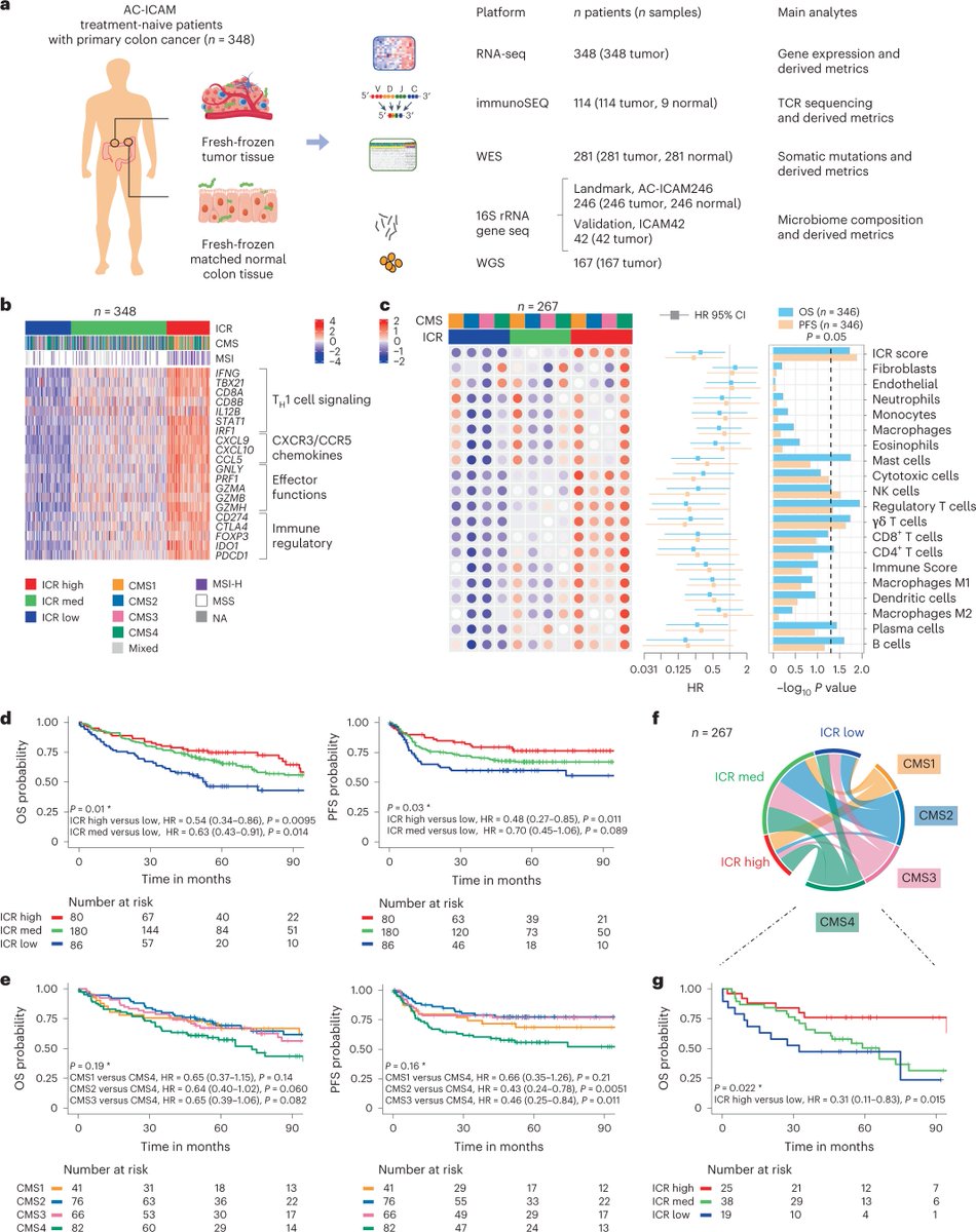 NatureMedicine's tweet photo. A large, publicly available dataset integrating RNA, whole-exome, T cell receptor and 16S rRNA sequencing from patients with #ColonCancer enables the discovery of a #PrognosticScore consisting of tumor, immune and microbial features. #Microbiome #Tcell https://t.co/wAFGqIs1Mr https://t.co/Ffx45bquWd