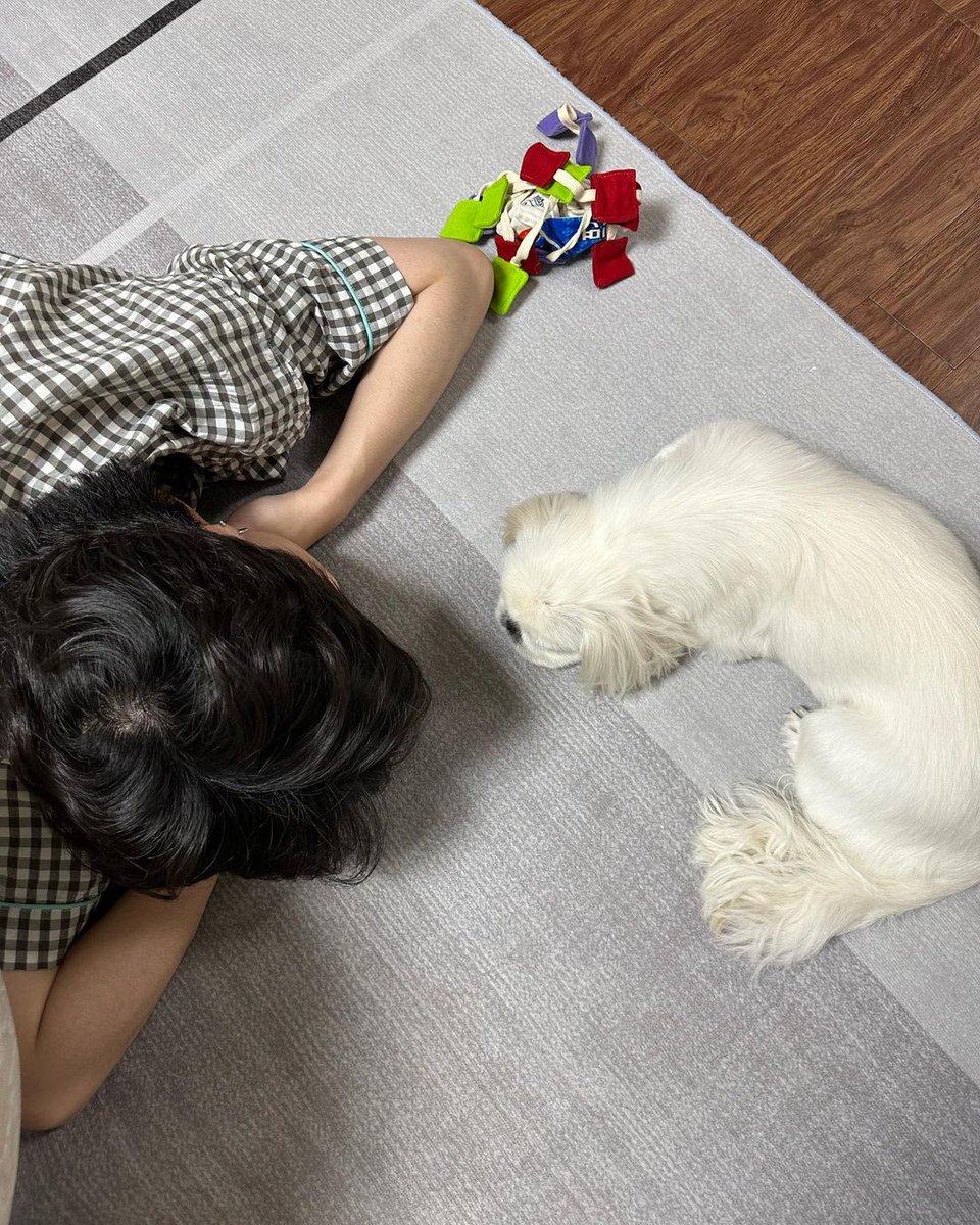 junghoonmx's tweet photo. Instagram | 290523 (2/2)

Al final hay una foto ID de Sol

.

#오메가엑스 #OMEGA_X #정훈 #한정훈 #JUNGHOON #junghoonmx https://t.co/XAVFnmSc0j