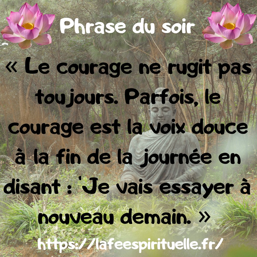 feespirituelle's tweet photo. 📷Message du soir 📷
https://t.co/1YIqXE6wgZ
#citationpositive #citationspirituelle #zenattitude https://t.co/pfrJaAMF8k