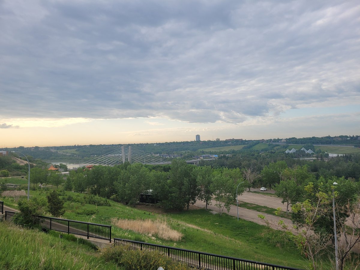 Mark H. Rodgers tweet media