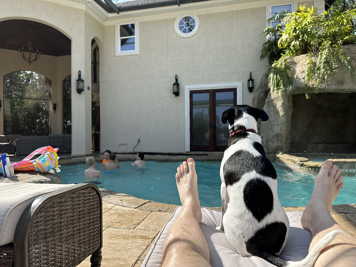 TreyCsar's tweet image. #currentstate #MemorialDay