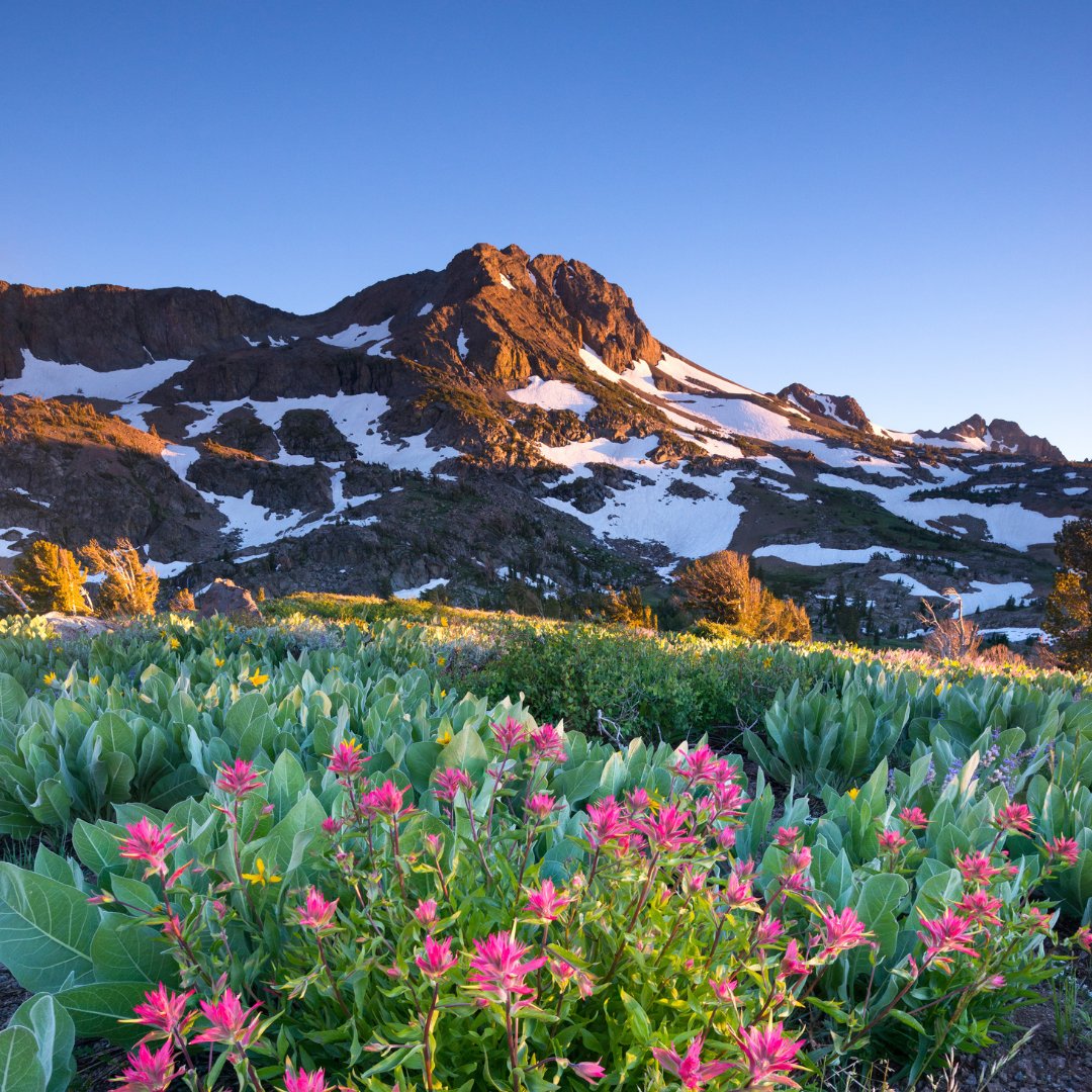 🇺🇸💙This Memorial Day, we find solace and serenity amidst the breathtaking beauty of Lake Tahoe. As we soak in the sunshine and embrace the crisp mountain air, we honor the brave souls who have selflessly served our country. 🌄 #MemorialDay #LakeTahoe #VisitLakeTahoe