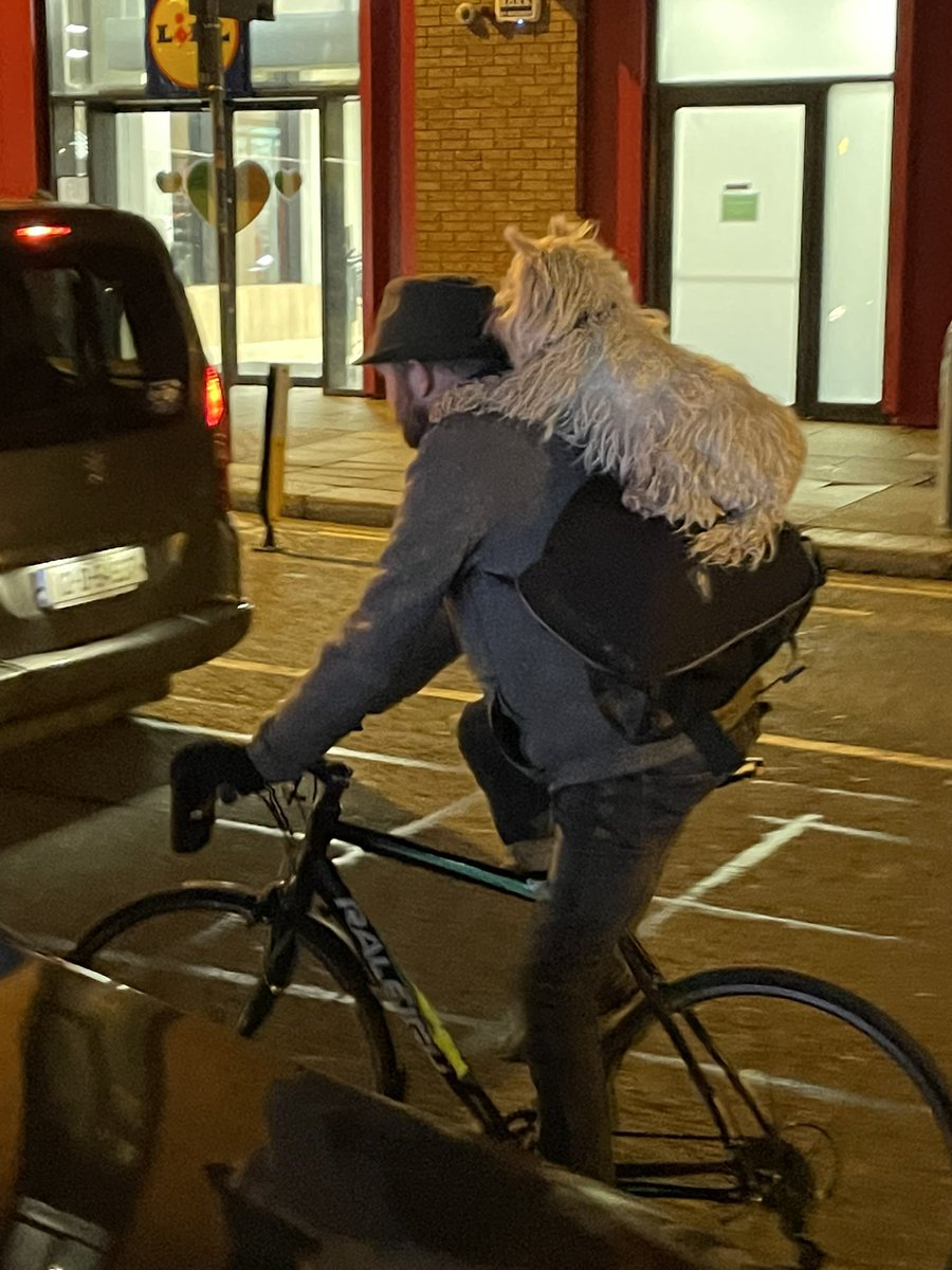 PinkRabbits4's tweet photo. Spotted in Dublin: Paw Patrol 🐶😅 https://t.co/d7w25osDsI