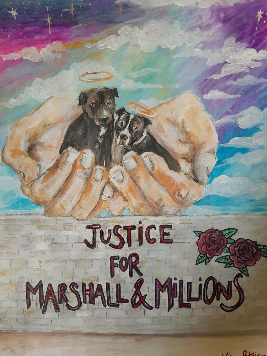 The tragic death of these two dogs at the hands of the Metropolitan Police must lead to a change in policing when it comes to dealing with homeless people & their companion animals. Never forget never again #MarshallandMillions