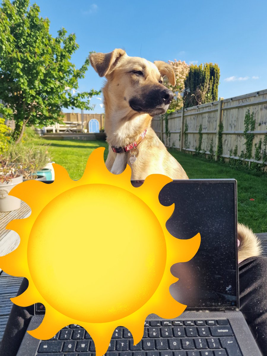 Katie Millar tweet media