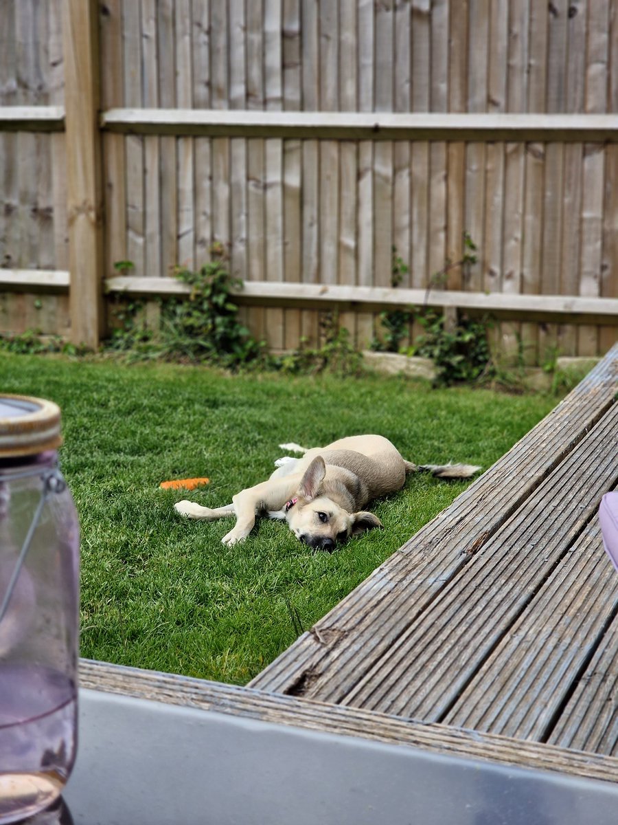 Katie Millar tweet media