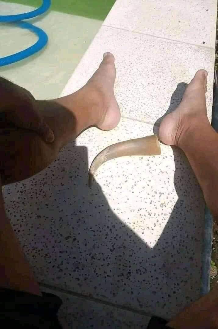 Estou caindo aos pedaços