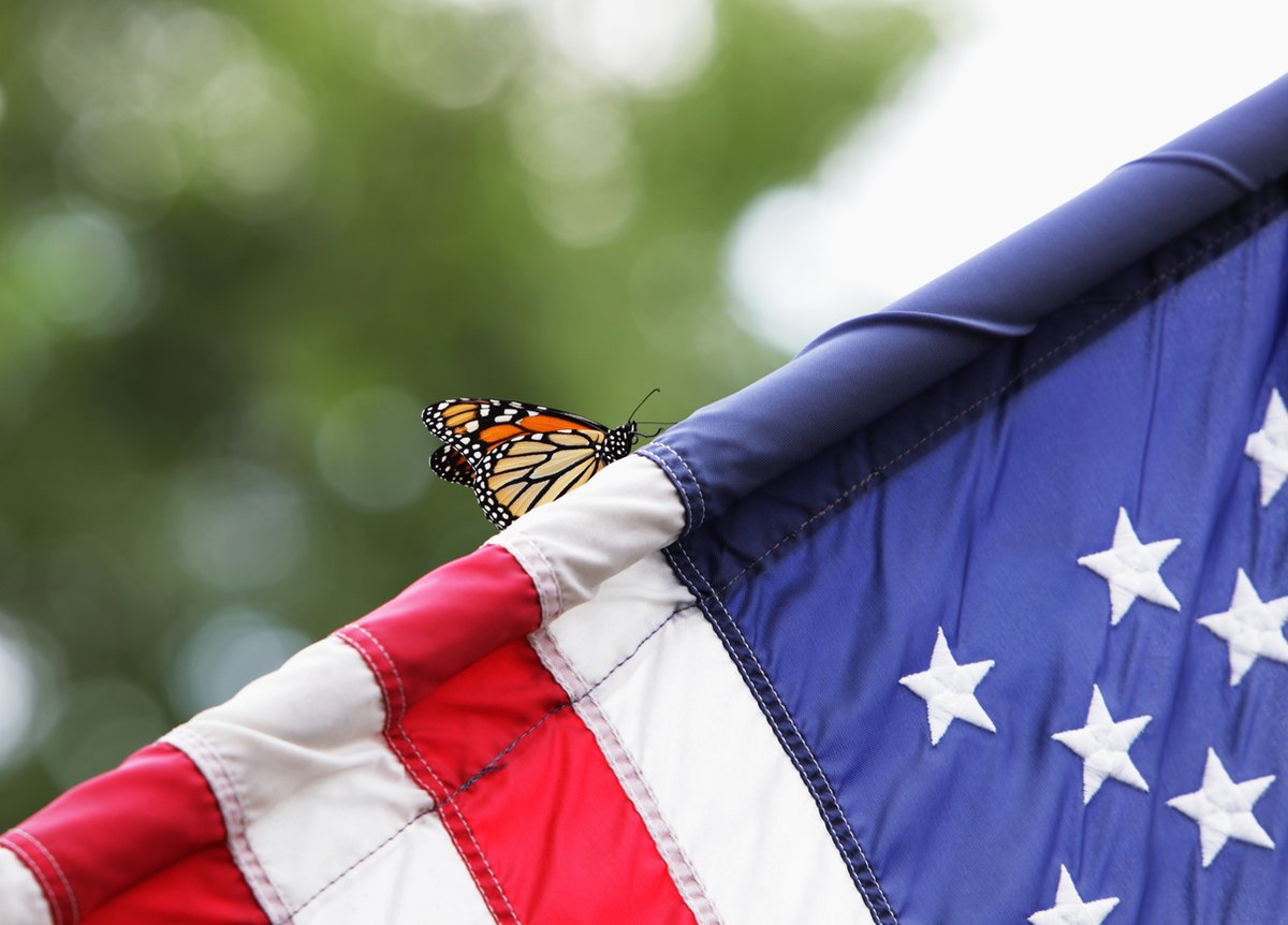 Land of the free, because of the brave. It is a time to remember and honor those that have given the ultimate sacrifice for our freedom. Have a wonderful pest-free weekend! ❤️🇺🇸 #HappyMemorialDay #RememberAndHonor