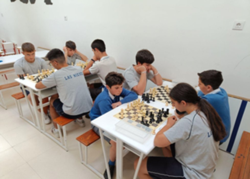 Durante este curso se ha disputado el 1er torneo de ajedrez entre los alumnos y alumnas del colegio. Una actividad que ha permitido a los alumnos relacionarse con compañeros de otras clases. Todo un éxito de participación que esperamos repetir.♟
#EducaciónDeCalidad #micolemola