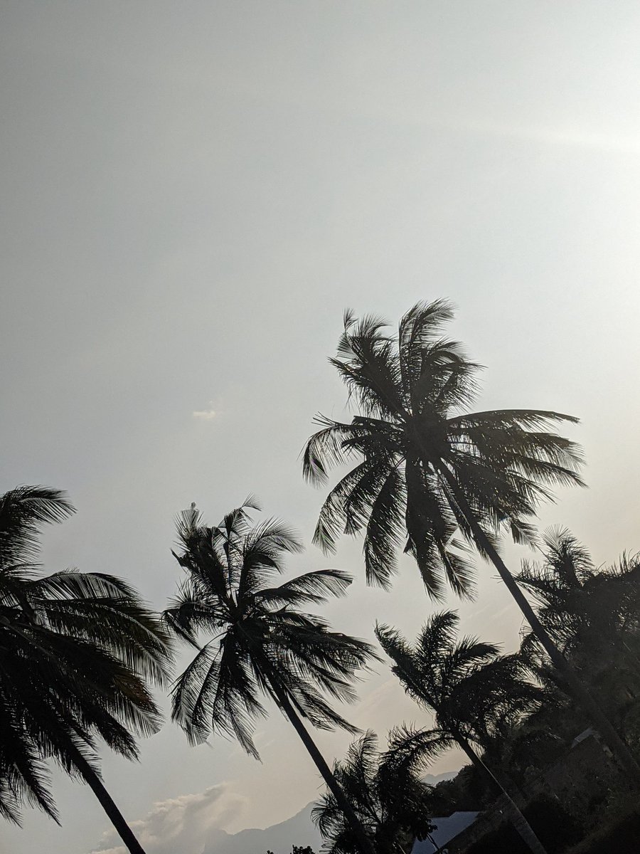 Captured...🌞
#googlepixel #photooftheday #landscapephotography #vacation #sunset #Succession