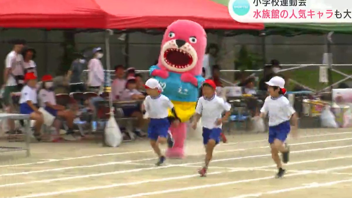 mondomascots's tweet photo. In Kochi City, local aquarium mascot Otodo-chan (a pink sea lion) joined the elementary school sports day. https://t.co/LoAa2GnwrB