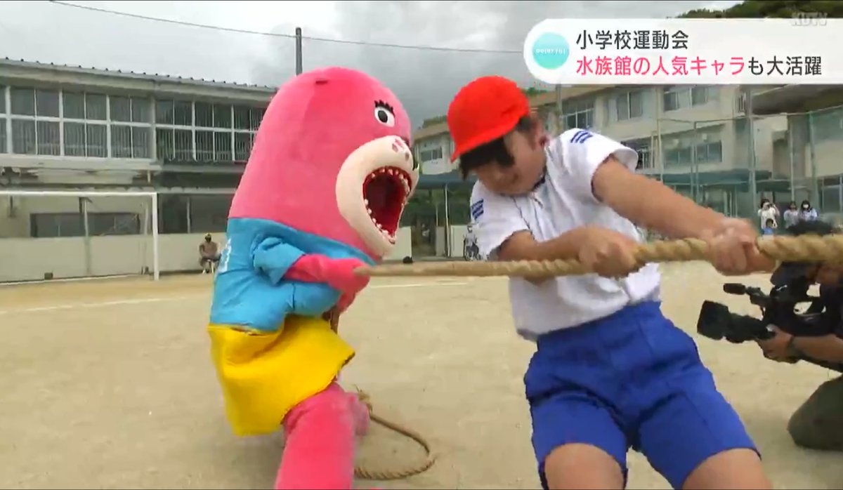 mondomascots's tweet photo. In Kochi City, local aquarium mascot Otodo-chan (a pink sea lion) joined the elementary school sports day. https://t.co/LoAa2GnwrB
