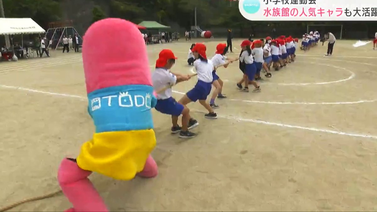 mondomascots's tweet photo. In Kochi City, local aquarium mascot Otodo-chan (a pink sea lion) joined the elementary school sports day. https://t.co/LoAa2GnwrB