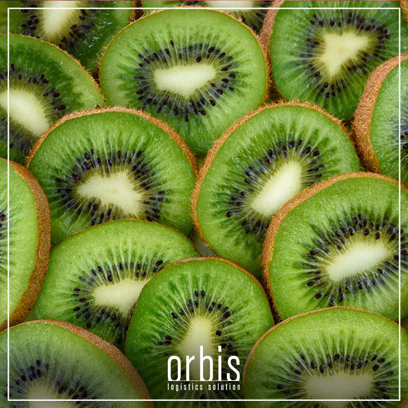 LogisticsOrbis's tweet photo. Soğuk zincir ürünlerinizi uygun koşullarda dünyanın her noktasına ulaştırıyoruz.

We delivery cold chain products to every corner of the world under appropriate conditions.
#orbisls #orbislogisticssolutions #reefer #reefercontainer https://t.co/CZkO65xmmT