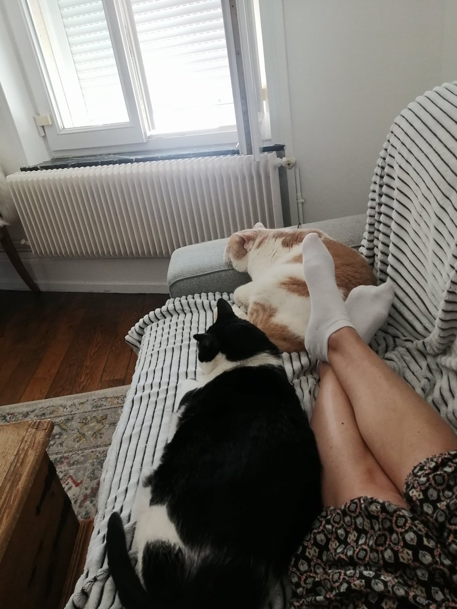 FilouIsidore's tweet image. Lundi ferien lundi j'aime bien signé Filou.