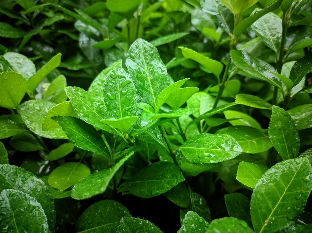 老头拍的（气话