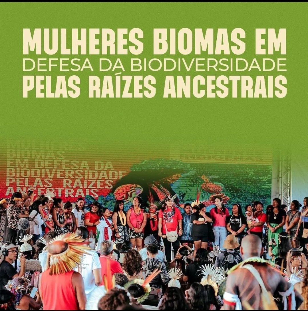Vamos assinar a Petição para proteger na nossa Mata Atlântica contra os ataques dos políticos genocídas que querem ver nosso Bioma totalmente destruído. Todos pela Mata Atlântica.
chng.it/RjfWrKfVwd

#VetaLula