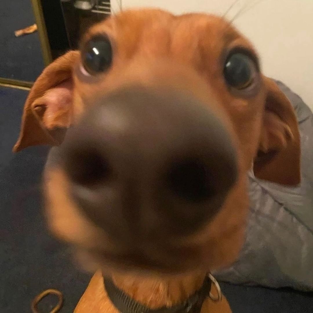 BOOP 🥰🥰