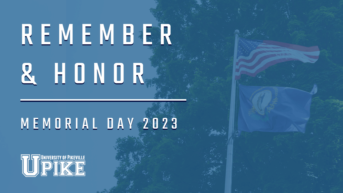 UPIKE 🐻 tweet media