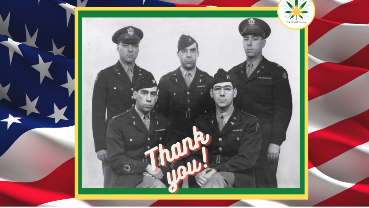 Thank you to all who serve or have served this country. Deepest condolences to the families of the fallen.