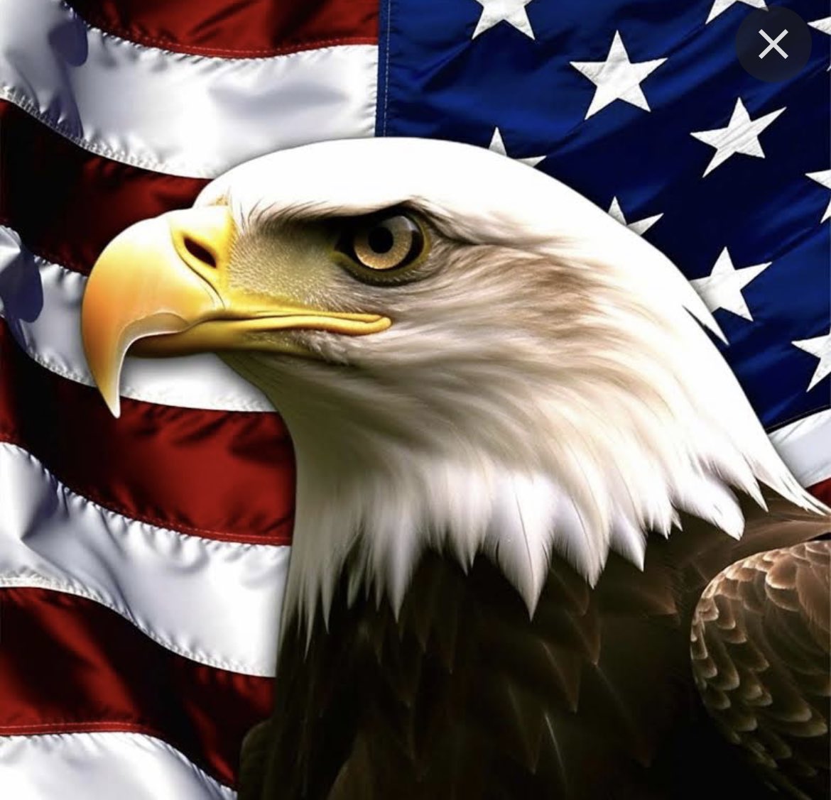 Memorial Day, let us pause and reflect on the courageous men and women who made the ultimate sacrifice for our freedom.
Honor their memory by expressing our deepest gratitude and committing ourselves to upholding the ideals they fought for. May we never forget their sacrifice.