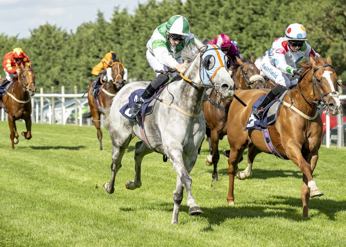 Brighton Racecourse tweet media