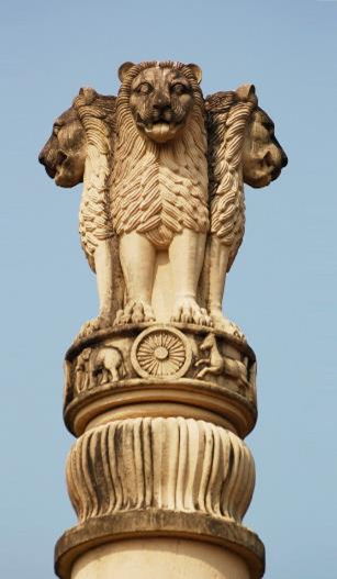 swetaaang's tweet photo. #thequizlabs #GoaQuiz -117- What connects these images or where would you find these elements? https://t.co/D7wRxv5TgN