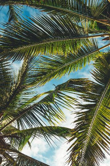swetaaang's tweet photo. #thequizlabs #GoaQuiz -117- What connects these images or where would you find these elements? https://t.co/D7wRxv5TgN