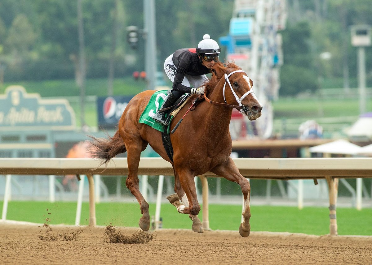 The Chosen Vron = 98 Beyer romp Thor’s Echo Stakes on Sun at SA, G1 Bing Crosby next? Others: Ceiling Crusher = 92, Melair; Kings River Knight = 93 turf, Crystal Water; Eddies New Dream = 87 turf, Fran’s Valentine; Old Pal = 79 turf, Snow Chief. (The Chosen Vron, Benoit Photo). https://t.co/CRej3w0HvD