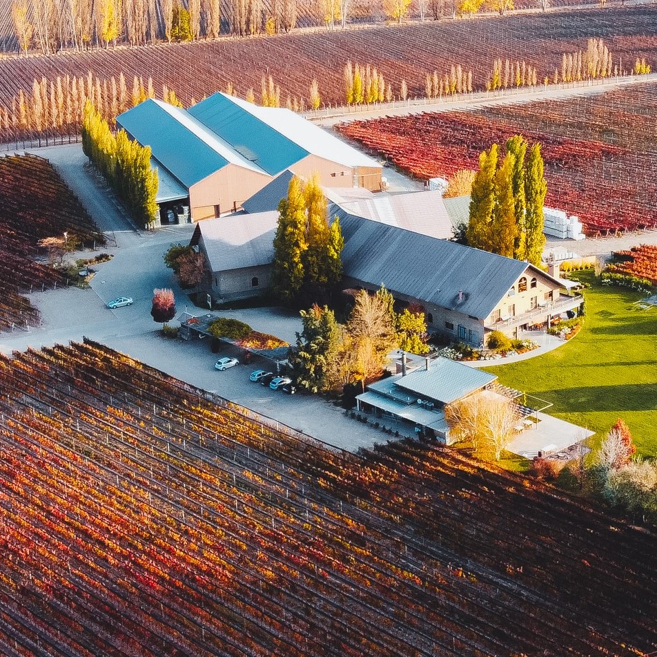 El otoño decora nuestra bodega por medio de sus clásicas tonalidades rojas, amarillas y verdes 🍁
