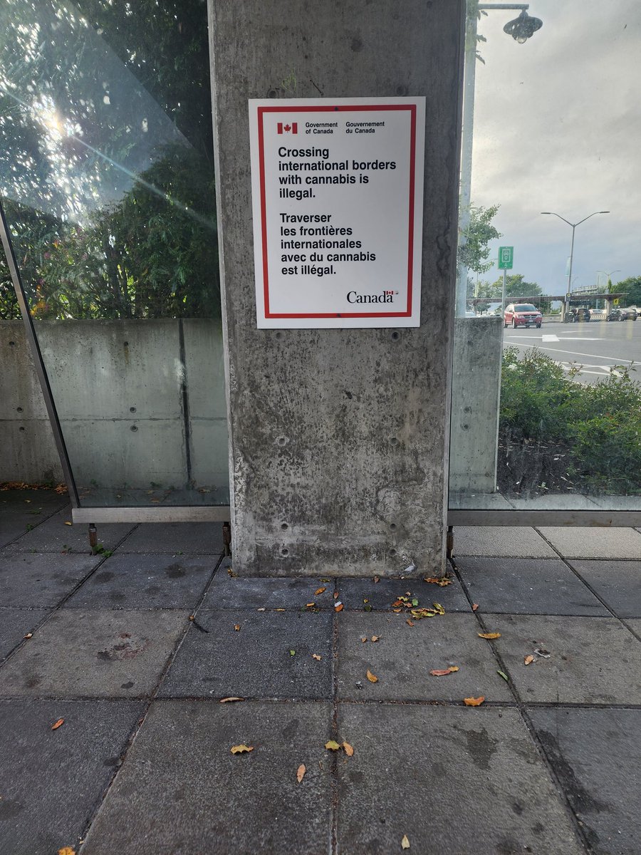 MuchEliza's tweet photo. I always forget it's illegal outside Canada 🇨🇦 https://t.co/BArQibCnro
