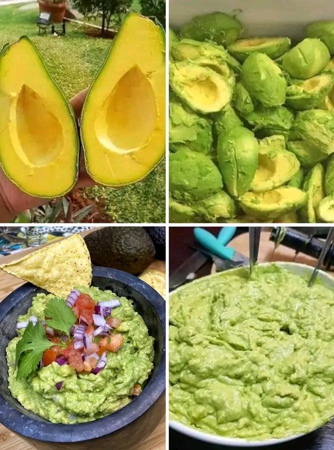 Fan del Aguacate 🥑 🥑🥑🥑