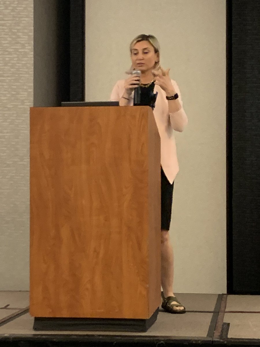 Keynotes Speaker Dr. Ilkay Altintas, a chief data  science officer from University of California San Diego Supercomputer Center talks about Partnerships for Innovation in Wildland Fire Science and Management at <a href="/iscram2023/">ISCRAM 2023</a>