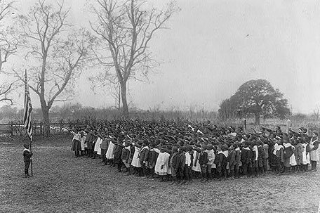 📸 Bruce Cares🪴🐝 tweet media