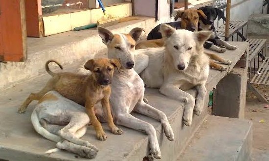 FakeerFake's tweet photo. #newpa

Pic1 : Sudhir, Amish, Rajat, Navika, Anjana

Pic2 : Sushant Sinha, Aman Chopra, Pradeep Bhandari, Harsh Vardhan Tripathi

Inside                                  Outside https://t.co/UDm8AQLTLK