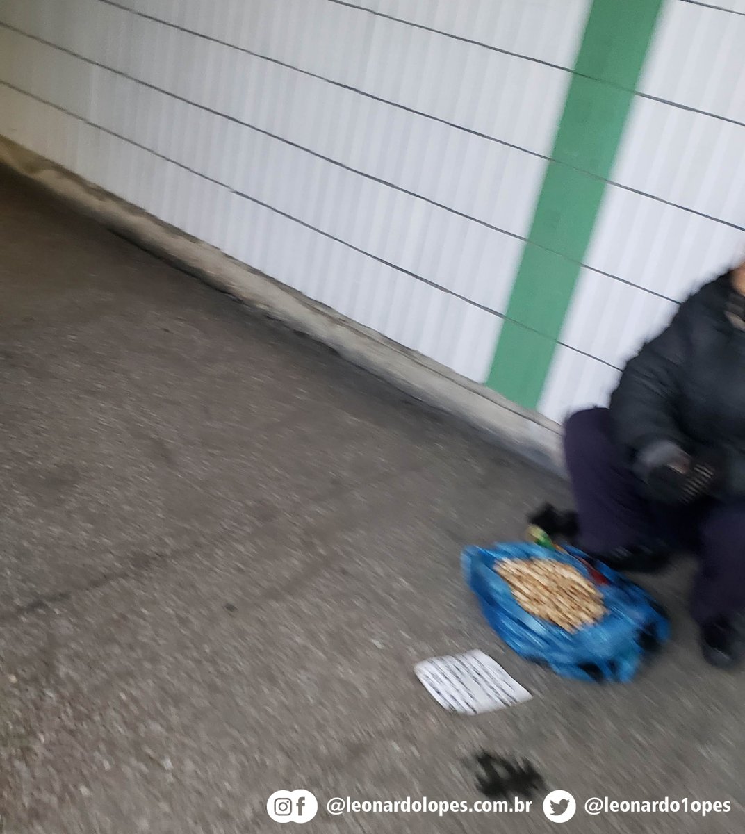 leonardo1opes's tweet image. Eu gostaria de ter tido na Coreia do Norte a mesma liberdade que tive em Cuba, para documentar tudo o que eu via, e assim fazer um relato que não fosse o que a ditadura quer mostrar. Mas não deixaram, porém, mesmo assim, consegui algumas imagens como estas (+)