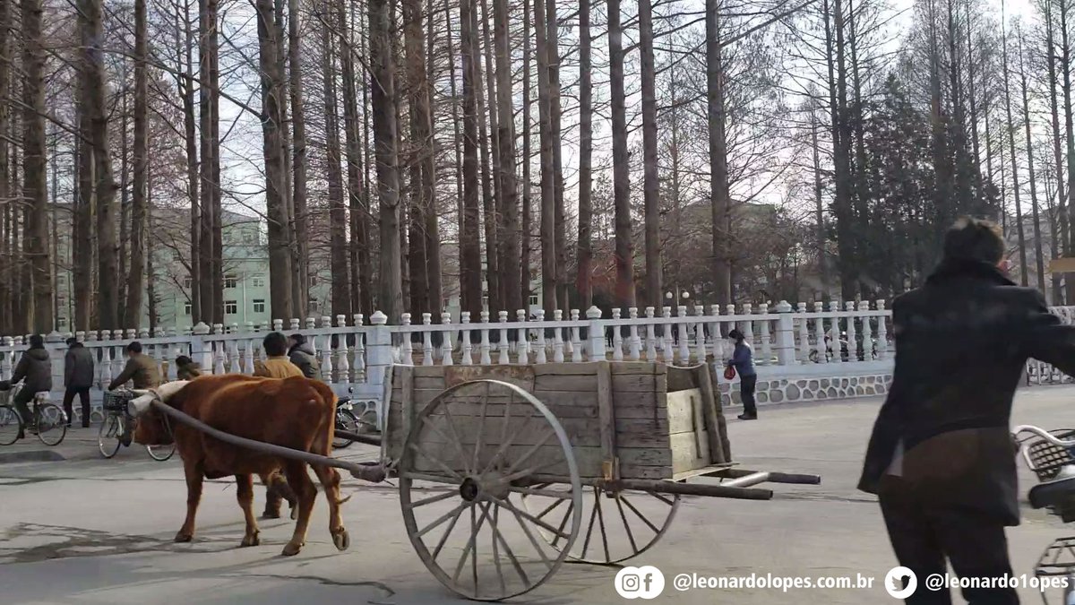 leonardo1opes's tweet image. Eu gostaria de ter tido na Coreia do Norte a mesma liberdade que tive em Cuba, para documentar tudo o que eu via, e assim fazer um relato que não fosse o que a ditadura quer mostrar. Mas não deixaram, porém, mesmo assim, consegui algumas imagens como estas (+)