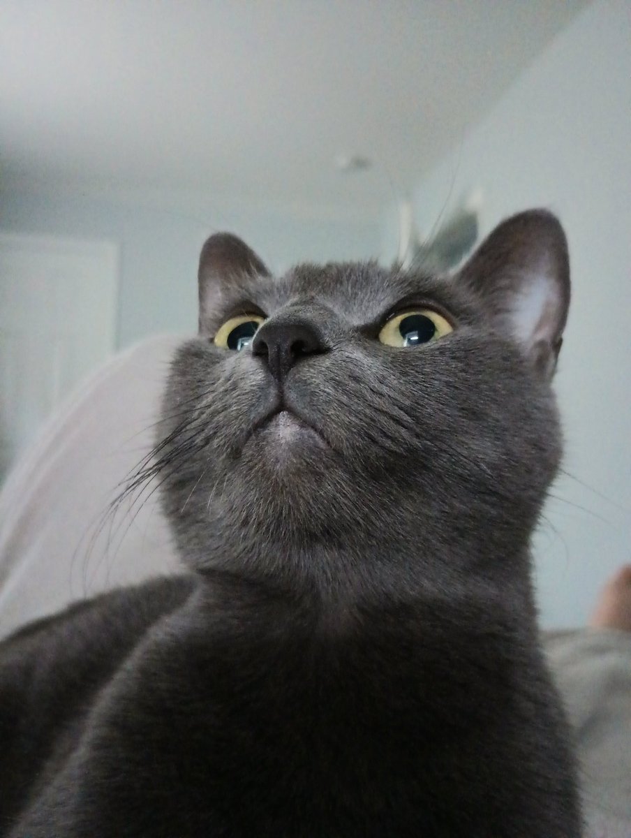 Good Monday morning, and Happy Memorial Day to everyone about to put the grill on! 

Here's to strengthening family relationships for the holiday!

#connection #MemorialDay2023