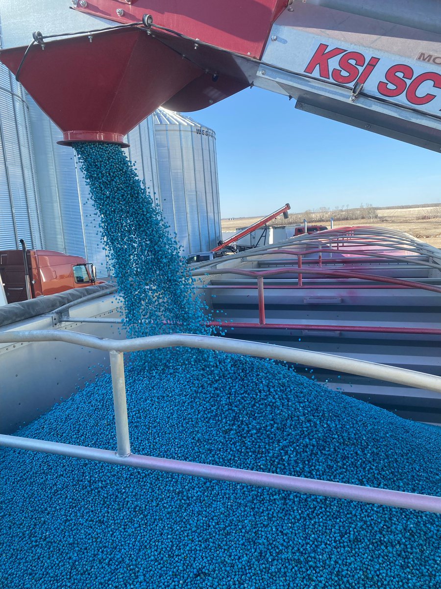 SynergyGrenfell's tweet photo. First year with our mobile seed treater was a success. Thank you to everyone for your support! Record day was 12,000bu. Call or text to line up for next year. https://t.co/HyhZCcTGMA