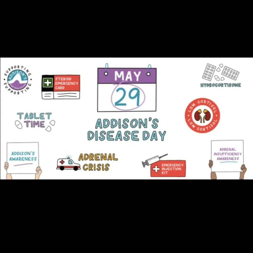 Natalie Clinton tweet media